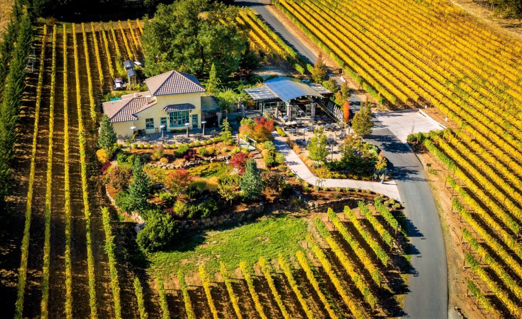 Hero image of vineyard or tasting area