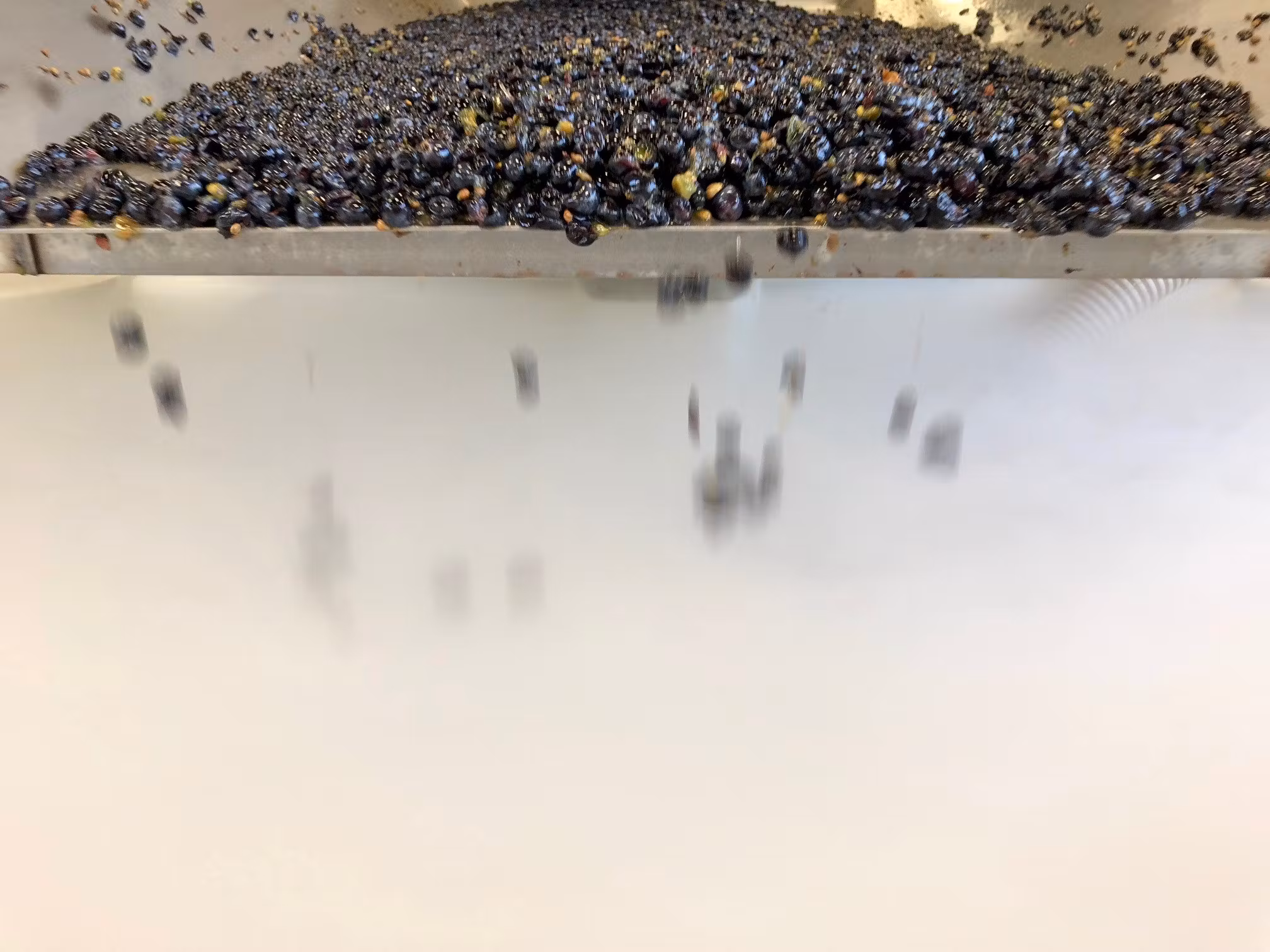 EanixuyARI6CXX3YQLZz_Winery 6