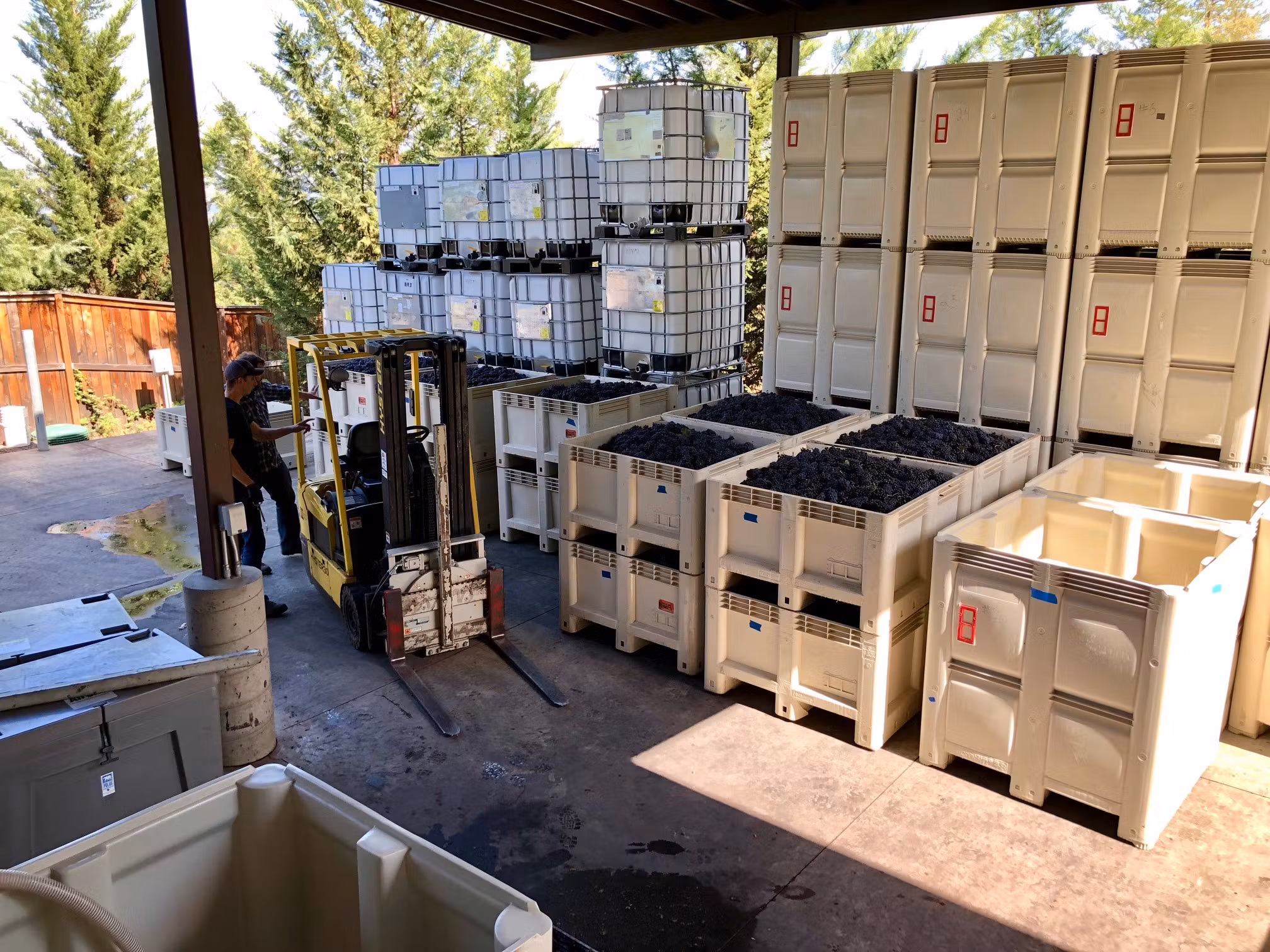 QglNLfReSaKzLMOgXAVr_Winery 2